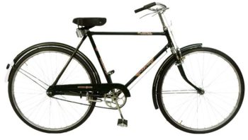 case of bicycle theft