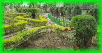 The Rock Garden of Ranchi is the center of tourist attraction.