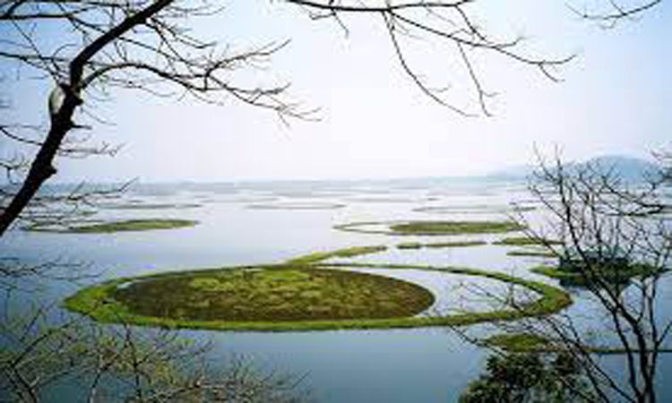 Conservation of wetlands, rejuvenation of Ganga
