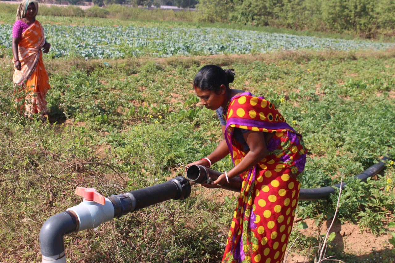 Women farmers are getting benefits of solar irrigation