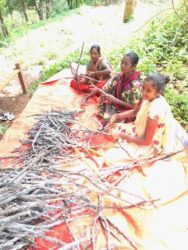 Women farmers of the state associated with lacquer production are getting empowered