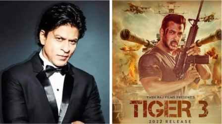Shahrukh will be seen in cameo role in Tiger 3