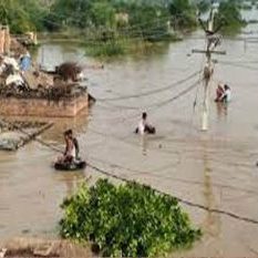 After the flood, the scene of devastation in the Chambal region