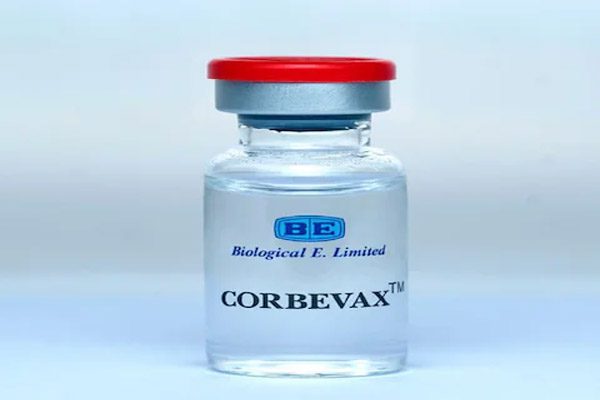 Covishield, adults taking Covaccine will now get booster dose of Corbevax, Center approves
