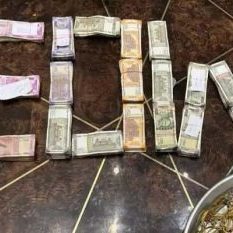 Property worth crores, luxury cars - farmhouse, theater at home