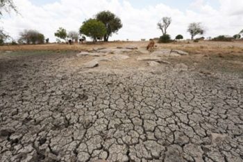 Rain less, drought-like situation in 64 districts of Uttar Pradesh