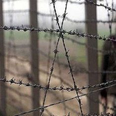 BSF gave a befitting reply to Pakistan's unprovoked firing