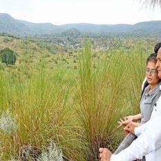 CM Ashok Gehlot visited Kishanbagh Sand Dune Park