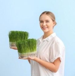 Drink the juice of this grass on an empty stomach in the morning, cholesterol will start coming down in minutes