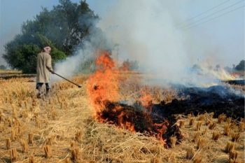 NHRC holds states responsible for continuous stubble burning