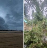 Cyclone Mandus weakens after crossing Tamil Nadu coast