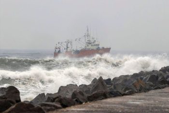 Cyclone Mandus wreaks havoc, roofs of houses blown off, schools and colleges closed