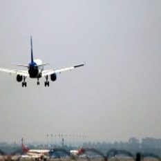 Bird collided with plane at Lucknow airport, major accident averted