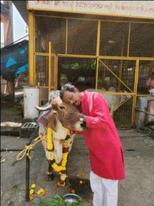 'Cow Hug Day' organized in Mumbai on February 14