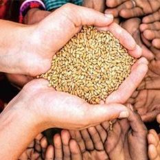 Farmers got a gift in the budget, Finance Minister announced Shri Anna Yojana