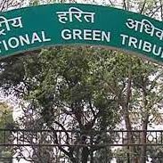 NGT sets up committee to probe claims of illegal acid making in Old Delhi