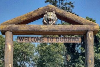 Teenager killed in tiger attack in Dudhwa Reserve