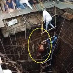 Indore temple accident Organ donation will be done for those who died, victim's families took a big decision