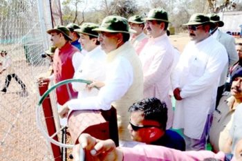 Tiger roar heard after 27 years in Shivpuri's Madhav National Park