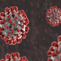 Corona becoming uncontrollable, cases doubling in 5 days – Alert in Delhi