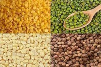 Indore grain market strength in moong, cheap tur, increase in pulses