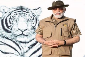 Number of tigers in the country increased to 3167, PM Modi released new figure