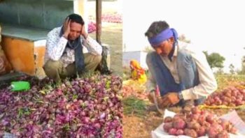 Onion making farmers cry... prices decreased due to non-export