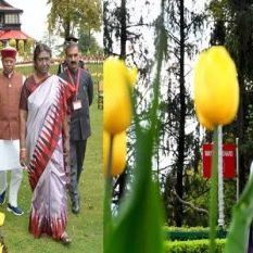 President Murmu inaugurated Tulip Garden, everyone will be able to visit from April 23