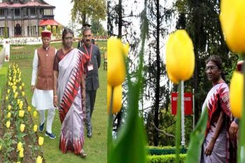 President Murmu inaugurated Tulip Garden, everyone will be able to visit from April 23