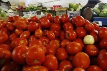 Tomato turned red, price crossed ₹ 120 KG, Tamil Nadu government took a big decision