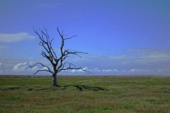 UP children top the climate change vulnerability index