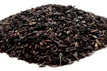 Foreigners liked black salt rice, exports increased more than three times;