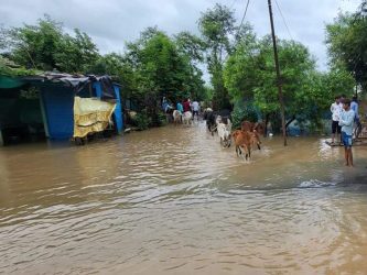 Heavy rain in Sagar, holiday in schools today