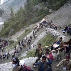 More than 24 thousand devotees reached Amarnath on 14th day