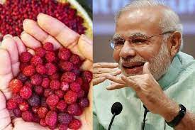 Prime Minister Modi liked Uttarakhandi fruit caravan very much, PM thanked CM Dhami by sending a letter