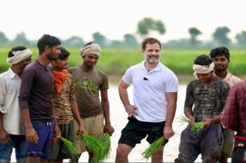 Rahul Gandhi suddenly reached among the farmers, planted paddy together