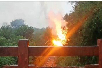 Tree fell on high voltage wires of Una-Nangal rail line