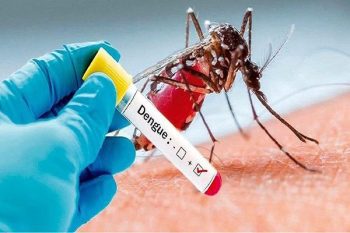 182 infected with dengue in Tripura, alert across the state