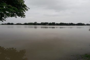 Flood threat in many districts of Bihar