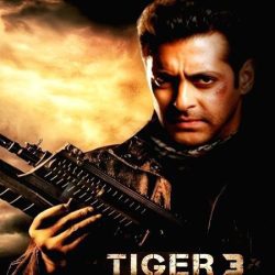 Hollywood filmmaker Christopher Nolan's connection will be seen in Salman Khan starrer Tiger 3