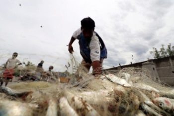 Indian fishermen attacked by Sri Lankan pirates