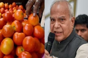 Now tomatoes will not be used even in Punjab Raj Bhavan, Governor has banned