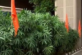 Saffron flags put up outside Mumbai airport before the third meeting of I.N.D.I.A alliance, written - Hindutva is our identity