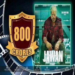 Jawan made bumper earnings, crossed Rs 800 crore worldwide