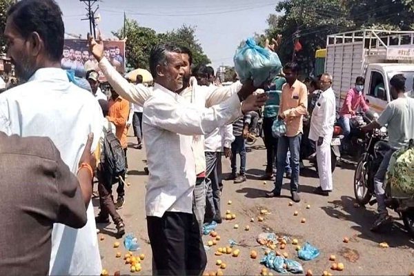 Farmers started distributing tomatoes for free after not getting the right price