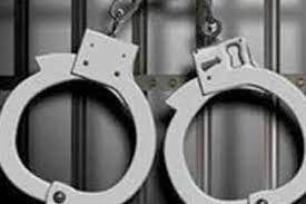 Husband and wife involved in Naxalite activities arrested