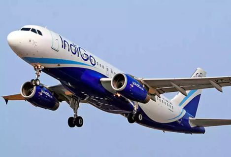 Live worm found in sandwich served to passenger in Indigo flight