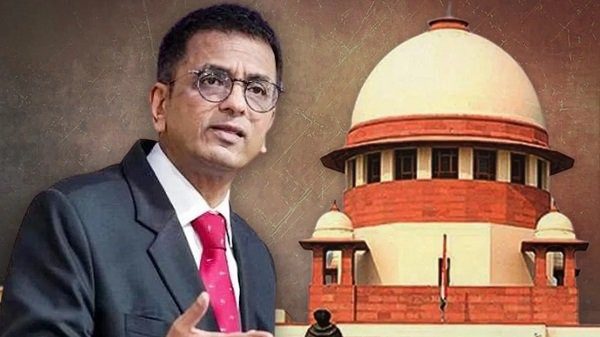 This is not a platform to board the train, CJI Chandrachud advised the lawyer in the court.