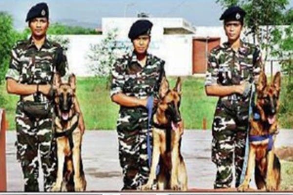 SSB appoints three women handlers for dog squad for the first time