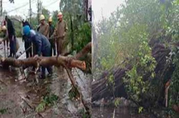 Cyclone Remal weakens in Bengal coast, but high alert issued